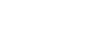 Comude León